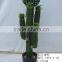 Fake artificial plastic cactus ball