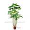 GNW G126 Wholesal Foliage Artificial Plant Indoor with green UV plastic leaves for aquariums