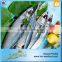 China Seafood Export Frozen Pacific Mackerel