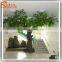 Competitive price artificial ficus tree fake artificial trees for sale garden ornamental plants and trees