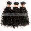 7A Grade Unprocessed Virgin Malaysian Curly Hair