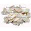 Freeze Dried Garlic