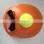 Tennis Training device with tennis ball and elastic string