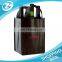 Promotional custom bottle non woven beer wine bag