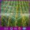 Mist nylon bird net/100%HDPE plastic anti bird netting/HDPE anti bird net