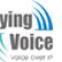 Shenzhen Flyingvoice Technology Co.,Ltd