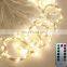 Amazon USB supply remote control  led light curtain for home holiday decoration