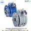 UDL Series Helical Gearing Stepless Variator / Reducer Gearbox