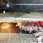 E26 E27 electric Infrared Heating Lamp and bulb / electric heater for poultry pig goat house