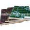 18mm Real Estate Film Faced Shuttering Construction Formwork Exterior Plywood