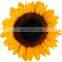 Black  white sunflower seed 361 for Turkey Egypt Vietnam Myanmar Kazakhstan USA Middle East Georgia Azerbaijan Uzbekistan