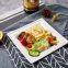 10”Hot Selling Party Restaurant Eco-Friendly Disposable Biodegradable Plates Sugarcane Bagasse Square Plates(500/ Case)