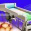 Fruit orange sorting machine apple grading machine price