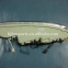 Other performance parts Newst Universal auto parts for car 4121-00133 smart lighting system bus headlight China Bus