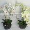 Best selling indoor decoration artificial flowers fake orchid