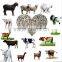low output flat die flat die animal feeding pellet extruder