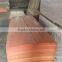 Keruing eucalyptus rubber wood core face veneer from Fupeng