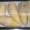 canned bamboo shoot with high quality