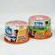 RISENG 4.7GB blank dvd-r 16x/blank aone dvd 16x/blank 16gb dvd r