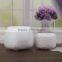 12v Electric Essential Oil Fragrance Nebulizer Diffuser With Cool Mist