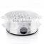 5L electric steamer