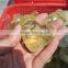 wholesale natural rock polished citrine quartz stone hearts