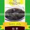 Canned Sweets - Grass Jelly