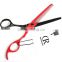 5.5 or 6 inch professional hairdressing scissors