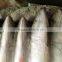 Frozen Whole Round Mackerel Size 200-300g/pcs for Sale