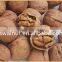 Organic thin shell walnuts from mountains