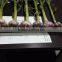 Liliaceous Vegetabless Product Type and Garlic Type High Quality Fresh Normal White