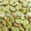 Organic Cultivation New Crop Dried Raw Broad Bean