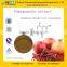 GMP Factory Supply High Quality Pomegranate Extract