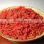 Top Manufacturer Supply High Quality Bulk Goji Berries