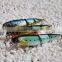 2015 new style section fish