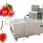 High Quality Cherry Pit Removing Machine, Cherry Pitter, Cherry Pitting Machine with CE certificated