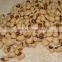 JSX all size of cowpea bean price Different size China cow pea