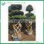 out door plants-3 layer ficus cage-4.5meter