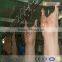 Pig Slaughtering Equipment Machine Slaughterhouse Plant
