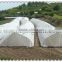 Insect mesh net for agricultural protection