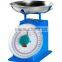 Excel precision balance scale weighing scale spring kitchen apparatus