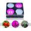 Wholesale Led Grow Light for Potatoes/tomatoes/cucumbers