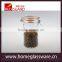 hot sale 4 pcs glass storge jar with stainless steel clips & silica gasket