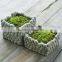 Exclusive Design Stone Shape Cement Decorative Indoor Planter Square