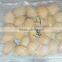 high quality fujian abalone for sale