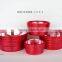 Shiny ceramic flower pot for garden plant