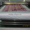 Roll machine sublimation heat press machine printing cloths CY-003