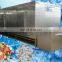 High Quality Industrial Use Vegetables and Fruits Processing Line Cheery Berry Peas Corn Kernel Freezing Line