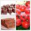 Semi-automatic Fruit Leather Roll Production Line