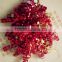 30inch long christmas decoration and holiday times metallic curly bow with PET star line